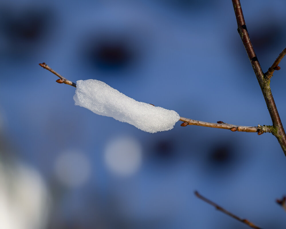 snow - Zinovi Seniak