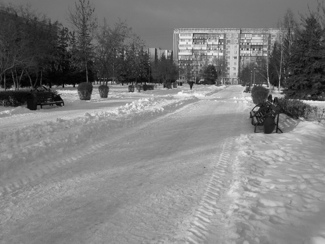 Сквер имени Жукова. - Радмир Арсеньев