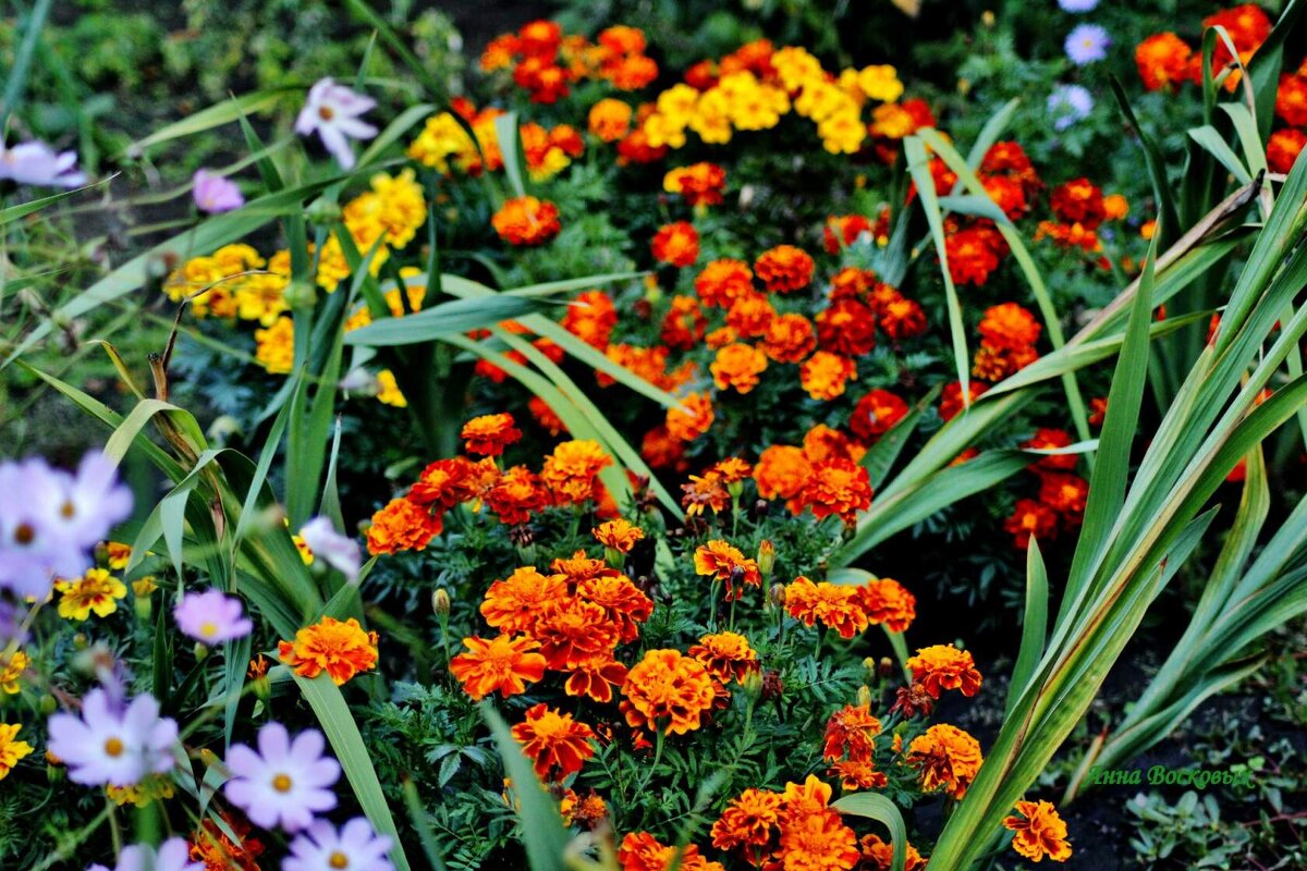 Садовый интерьер. - Восковых Анна Васильевна 