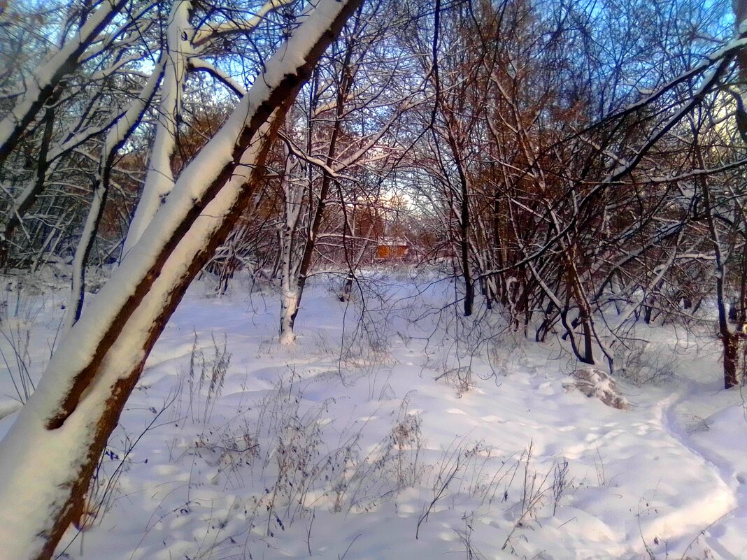 Декабрь - Игорь Чуев