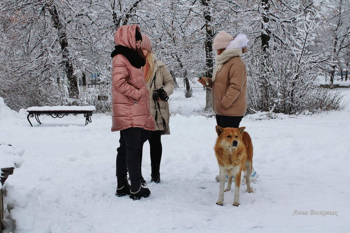 Под надёжной охраной. - Восковых Анна Васильевна 