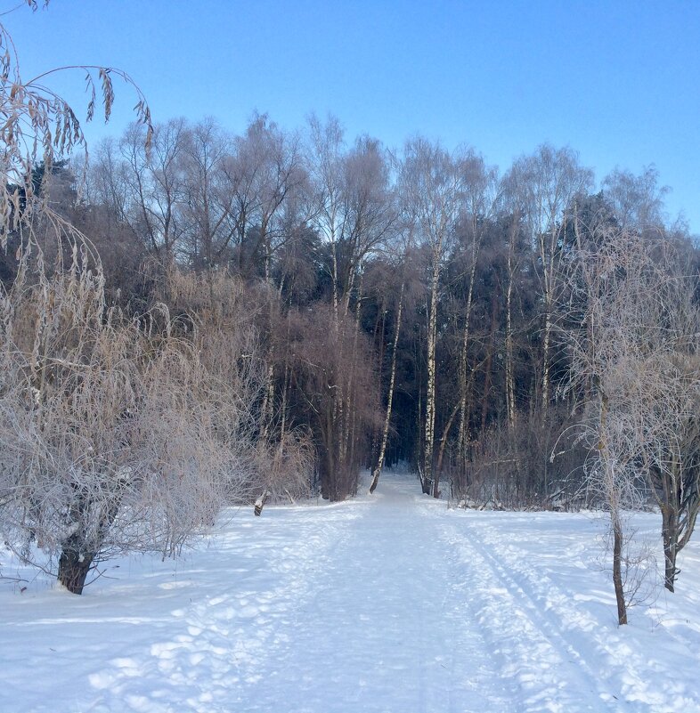 Городской парк - Татьяна 