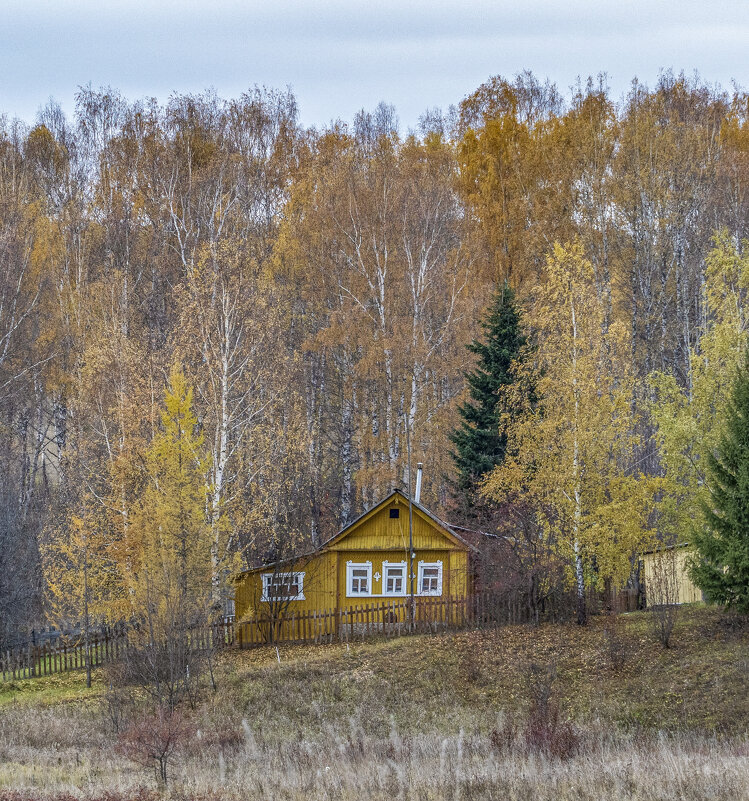 Домик на отшибе... - Алексей Сметкин