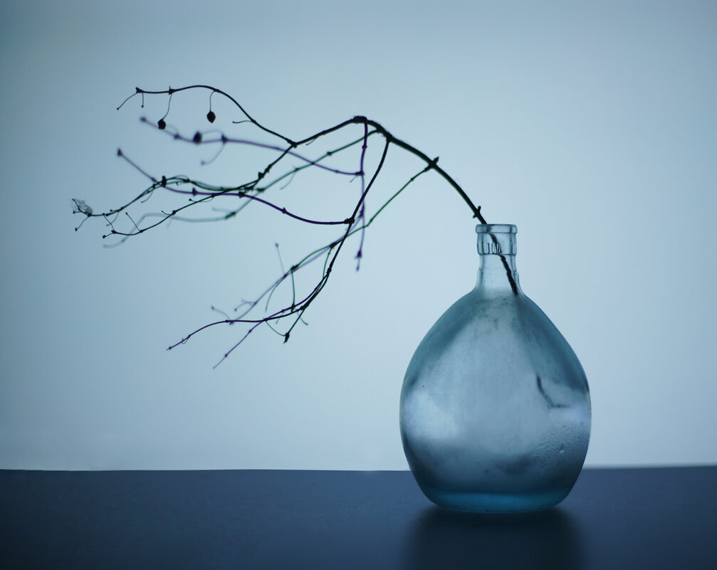 Звонкий январь... - Liliya Звонкий январь... - Liliya