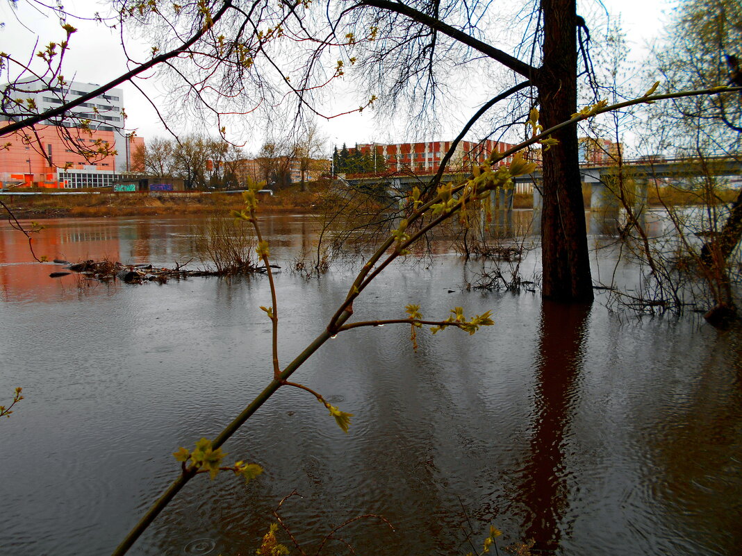 Водная гладь - Игорь Чуев