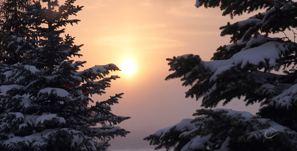 Зимний закат - Инна Драбкина