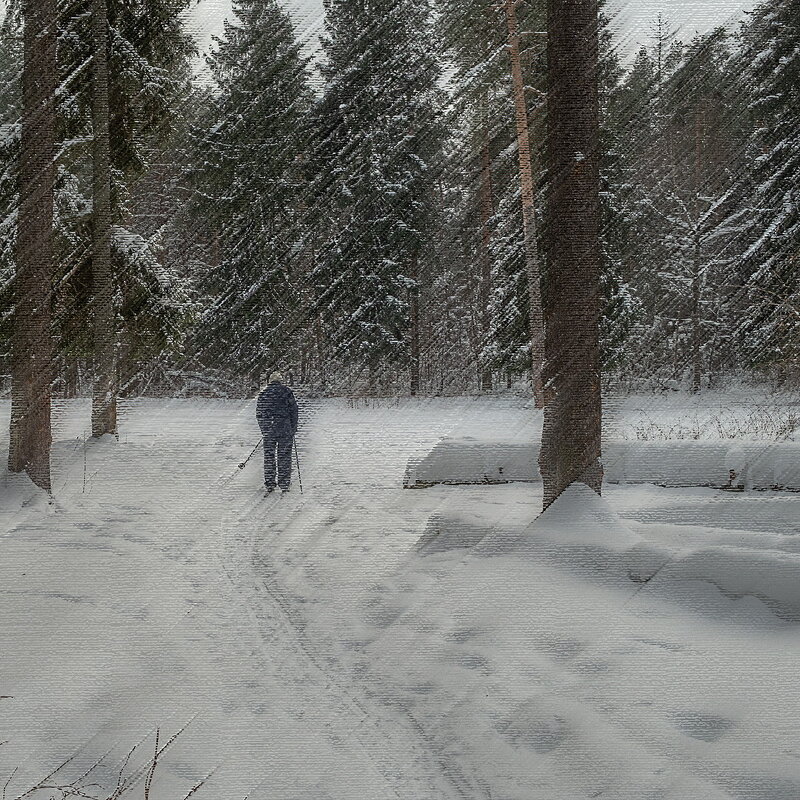 Побродилки с фотокамерой - Олег Пучков