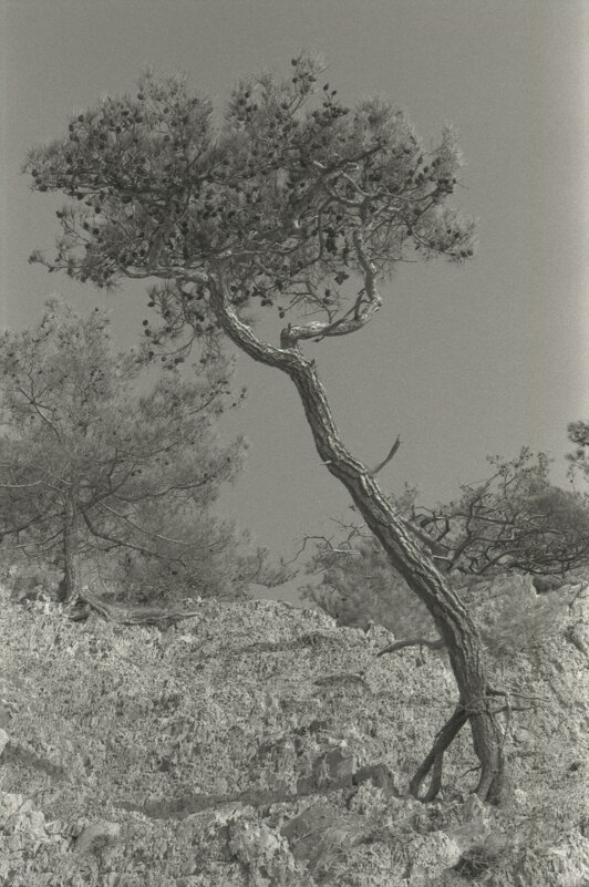 стойкость - serg 