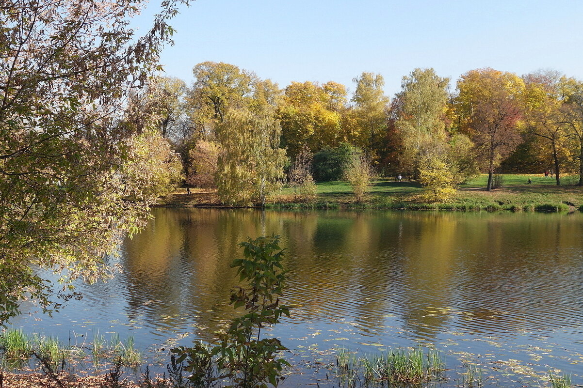 Парк Кузьминки - Маргарита Батырева