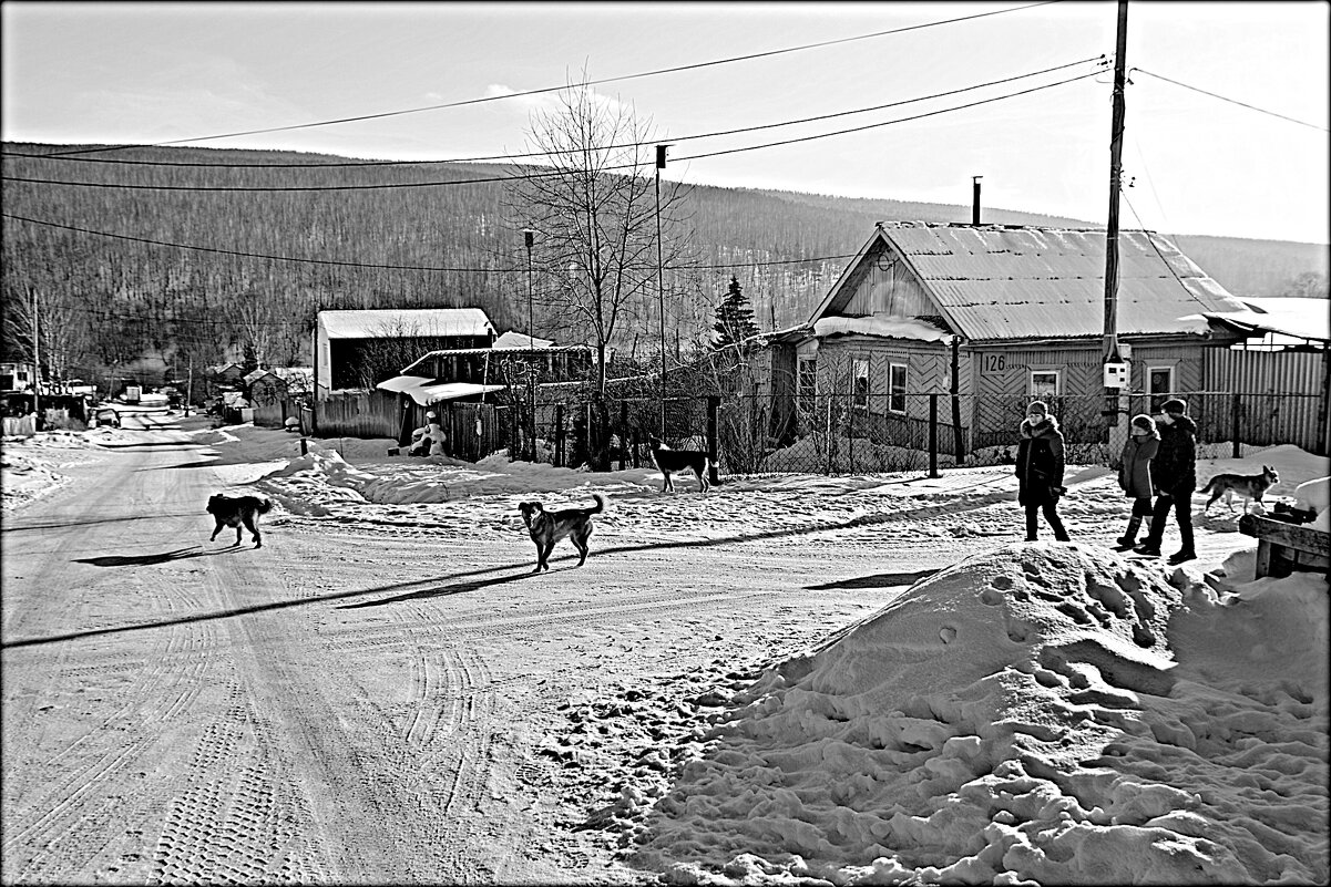 Деревенька моя.. - Александр Шимохин