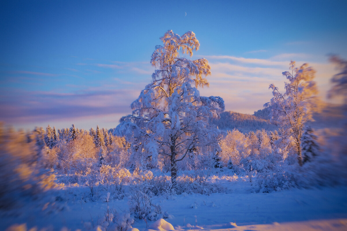 Зима. - Георгий Зима. - Георгий