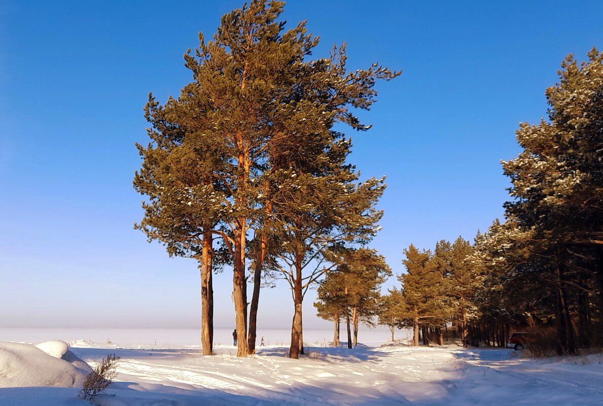 Побережье Обского моря . - Мила Бовкун Побережье Обского моря . - Мила Бовкун