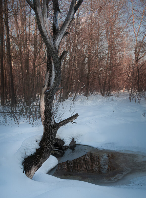 *** - Олег Грибенников *** - Олег Грибенников