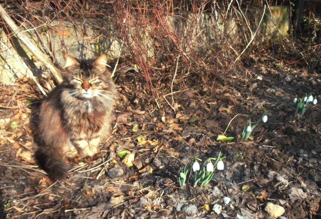 Участвующий и сочувствующий :) - Наталья 