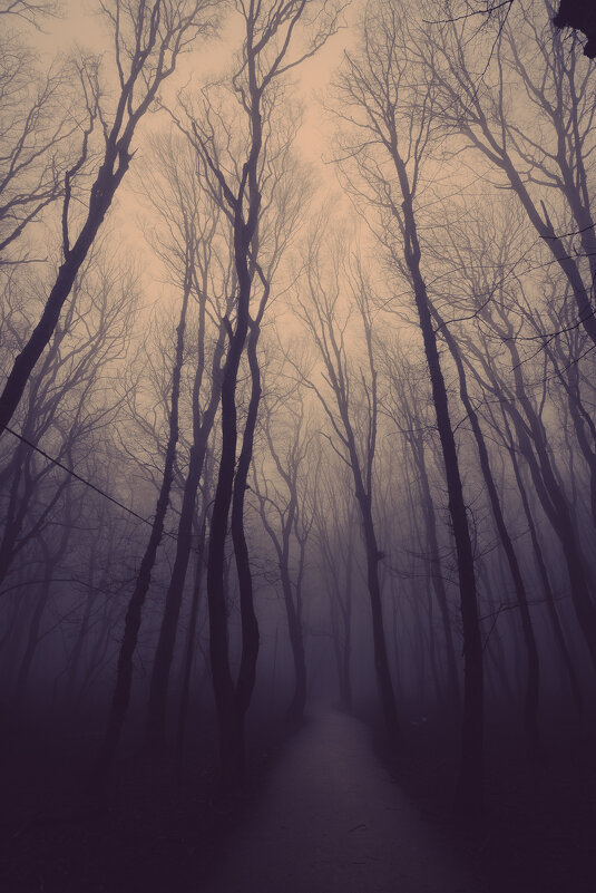 Из серии - "Пустошь..." - Александр Из серии - "Пустошь..." - Александр