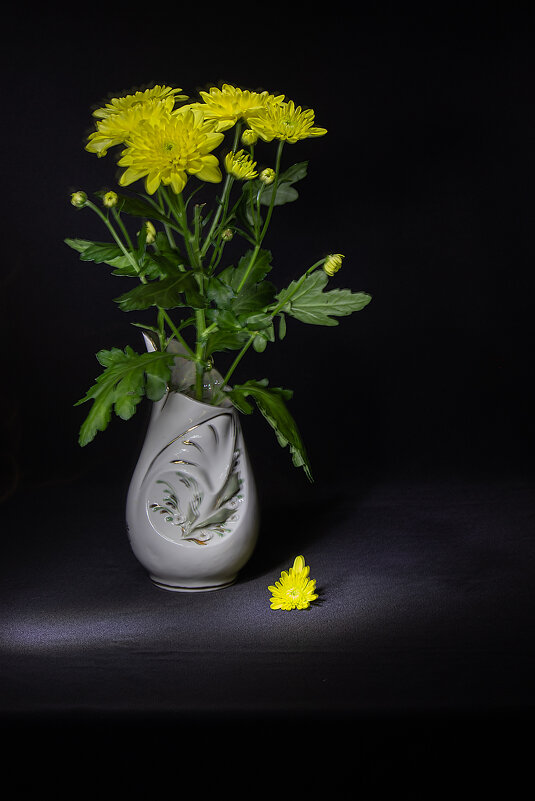 свет и тень 2 - navalon M