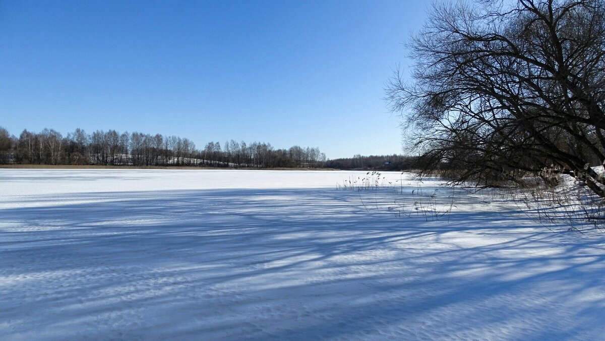 Свет и тени. - Милешкин Владимир Алексеевич 