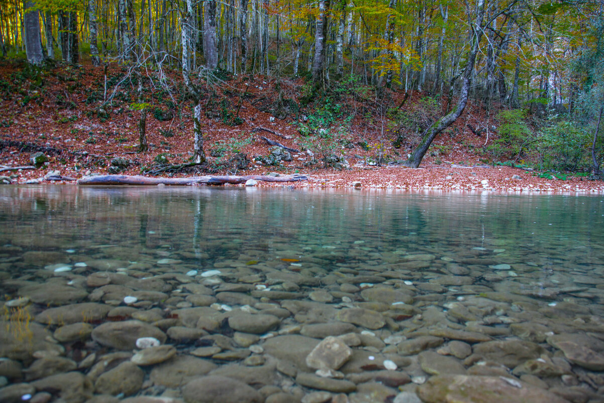 Гуамка 2 - Игорь Гарагуля