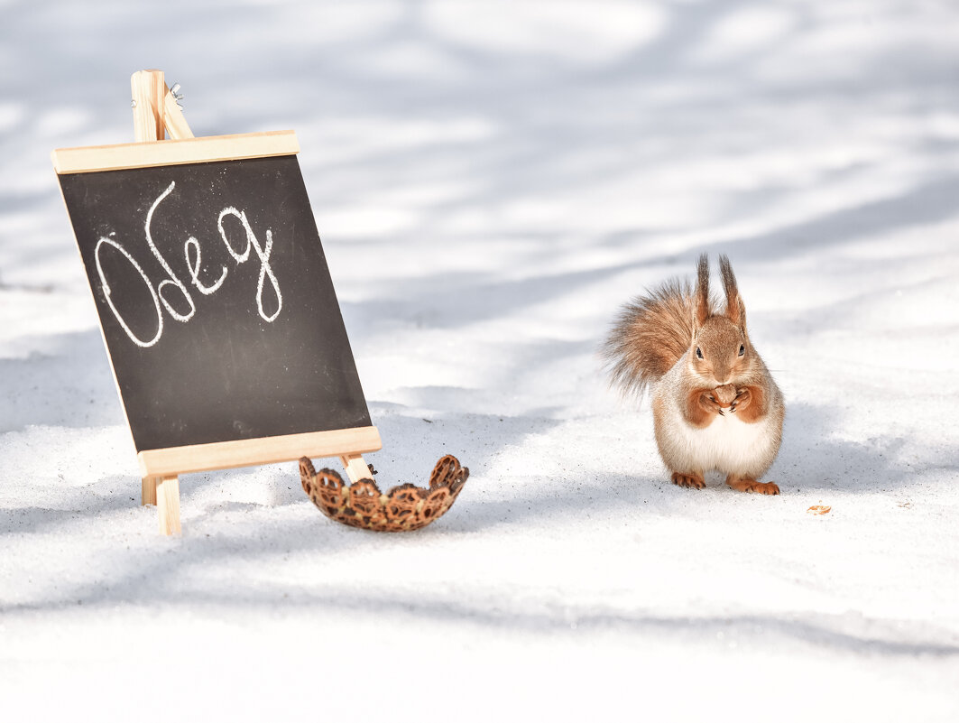 ** - Зинаида Манушкина ** - Зинаида Манушкина