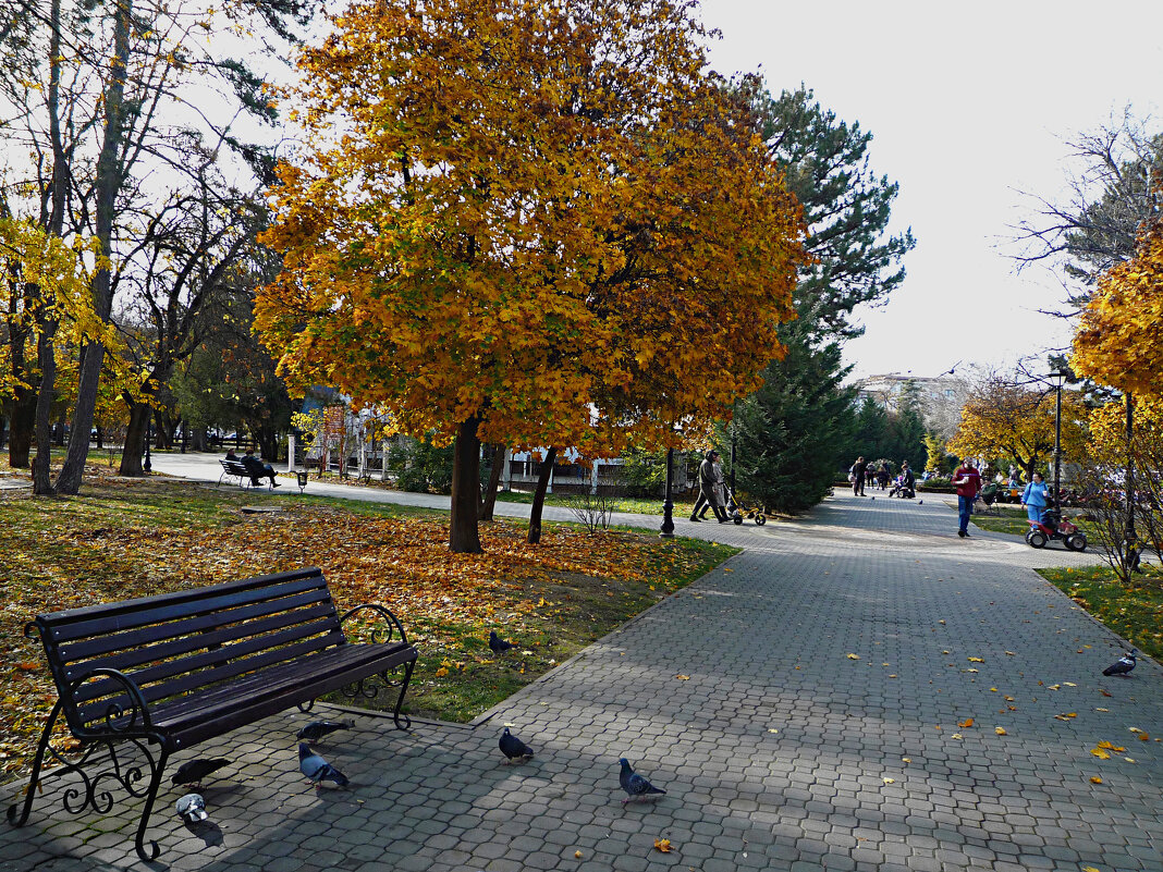 Осень  в  парке  Тренёва - Валентин Семчишин