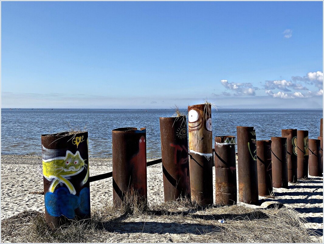 На берегу Калининградского залива. - Валерия Комова