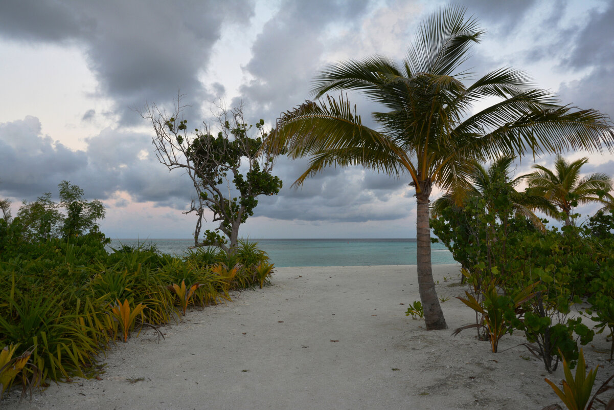 ** - Наталья Покацкая ** - Наталья Покацкая