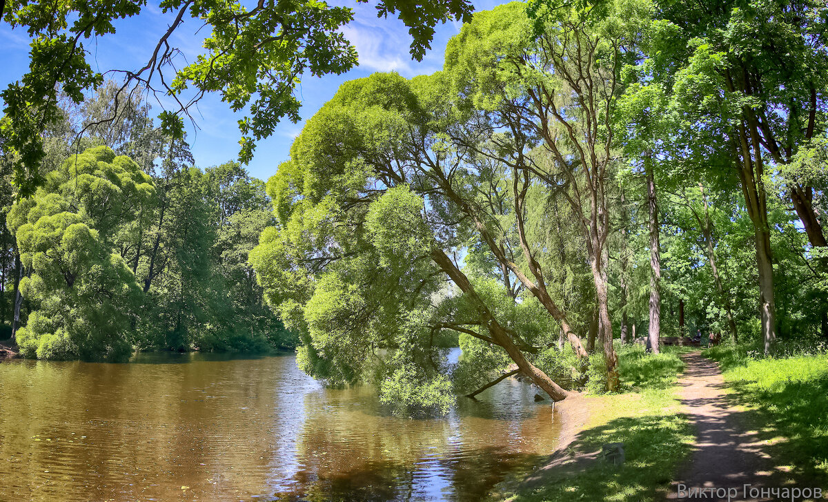 Елагин остров. Санкт-Петербург - Laryan1 