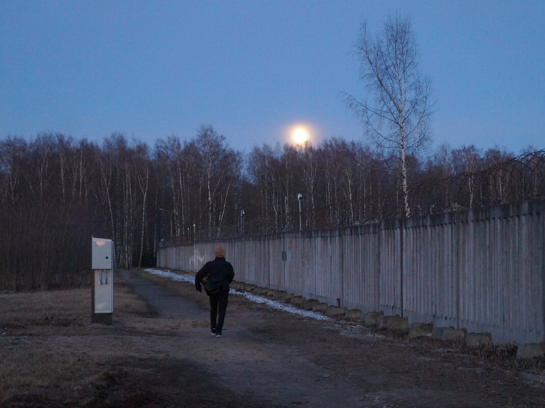 "Весна - время школьников и самоубийц..." - zavitok *