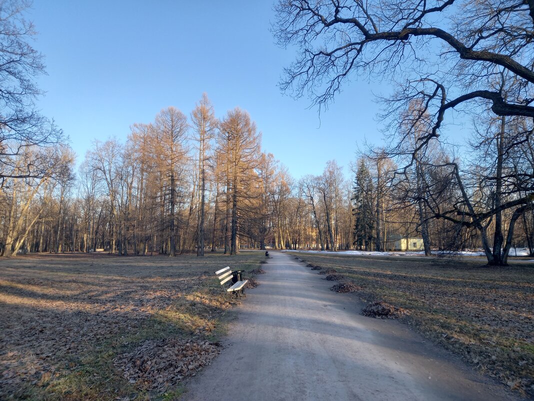 Весна - Сапсан 