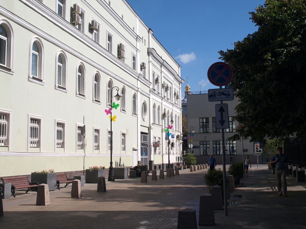 Я шагаю по Москве... - Владимир Драгунский