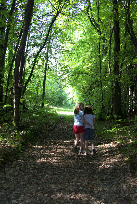 *** - Светлана E