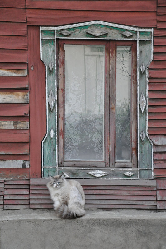 Сидела кошка у окошка - Татьяна Машошина Сидела кошка у окошка - Татьяна Машошина