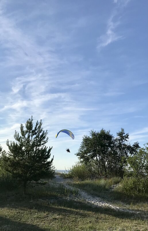 Захожу на посадку. - Pippa 
