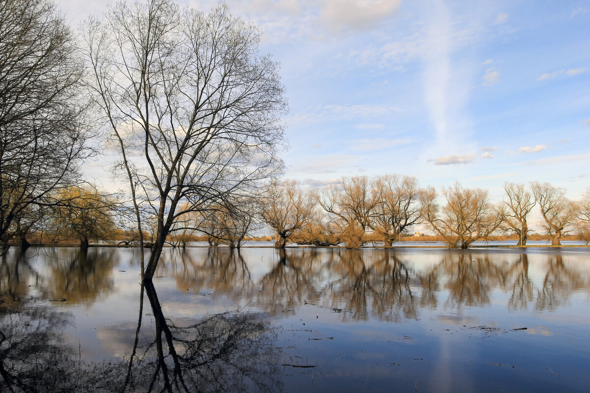 Витославлицы - skijumper Иванов