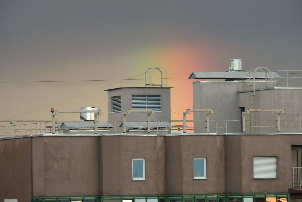 Радужная фабрика - Not Lion