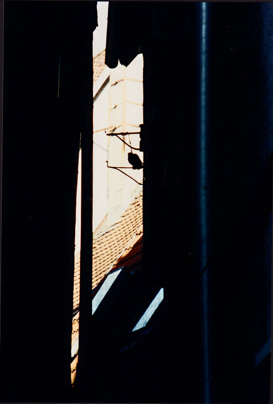 Немецкие зарисовки 70 - Алексей Кузнецов Немецкие зарисовки 70 - Алексей Кузнецов