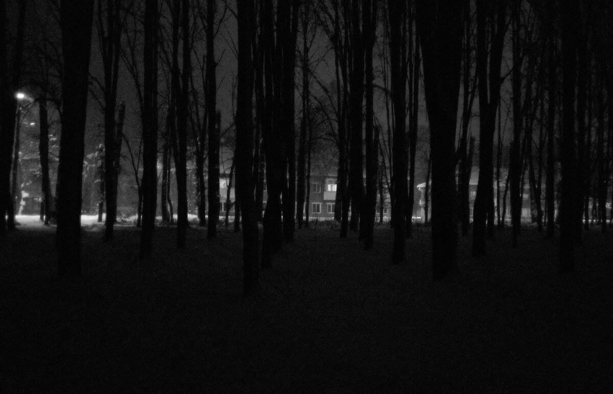 в темном претёмном лесу . - Серж Поветкин в темном претёмном лесу . - Серж Поветкин