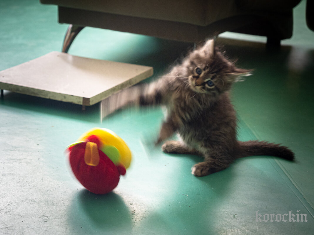 игра - PRoBoF- Feofannen