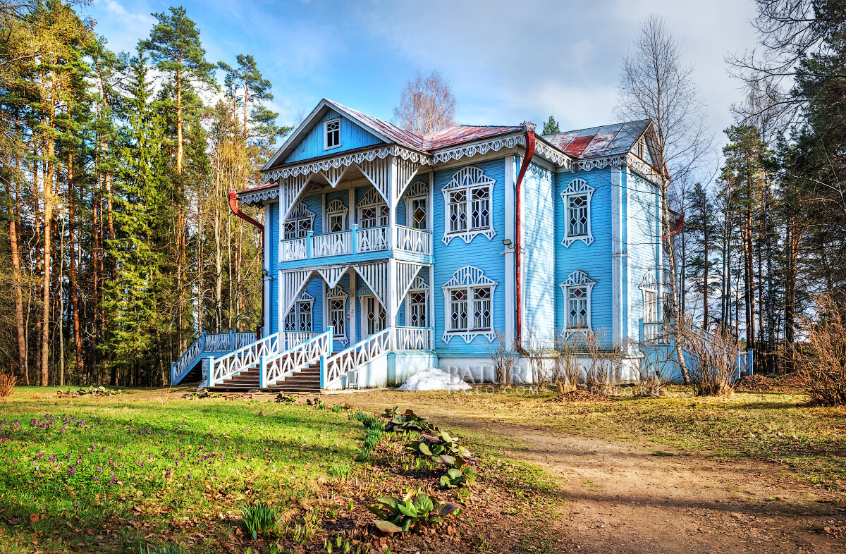 Дом Снегурочки - Юлия Батурина