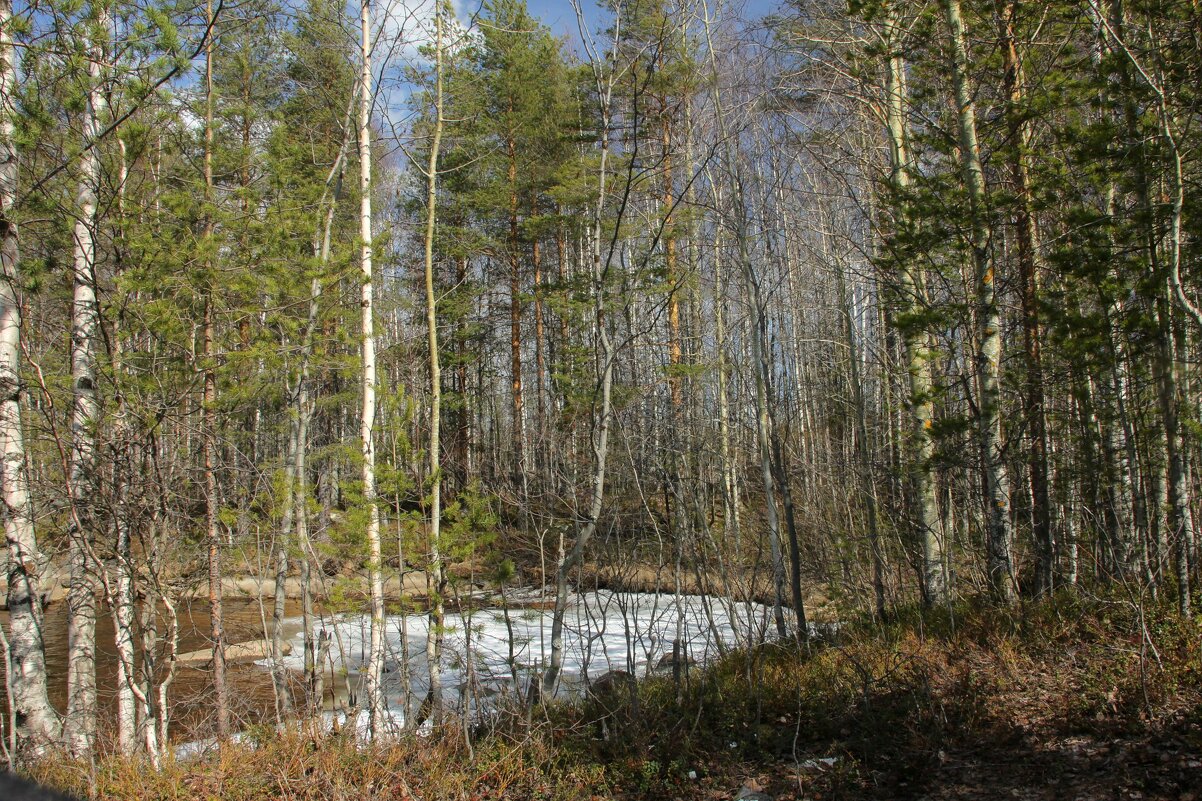 Карелия весной - Анжела Пасечник