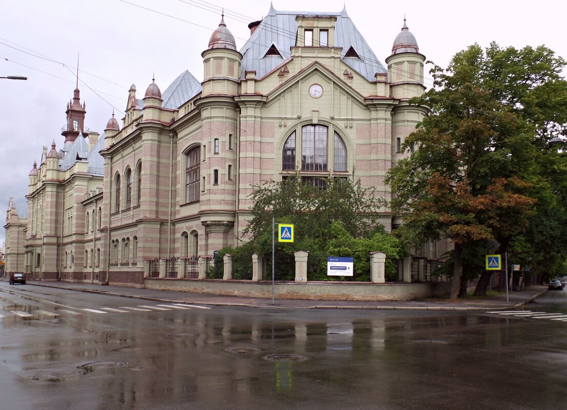 После дождя. - Марина Харченкова