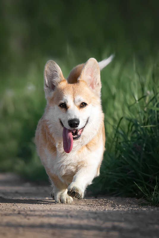 Кнопочка - Анна 