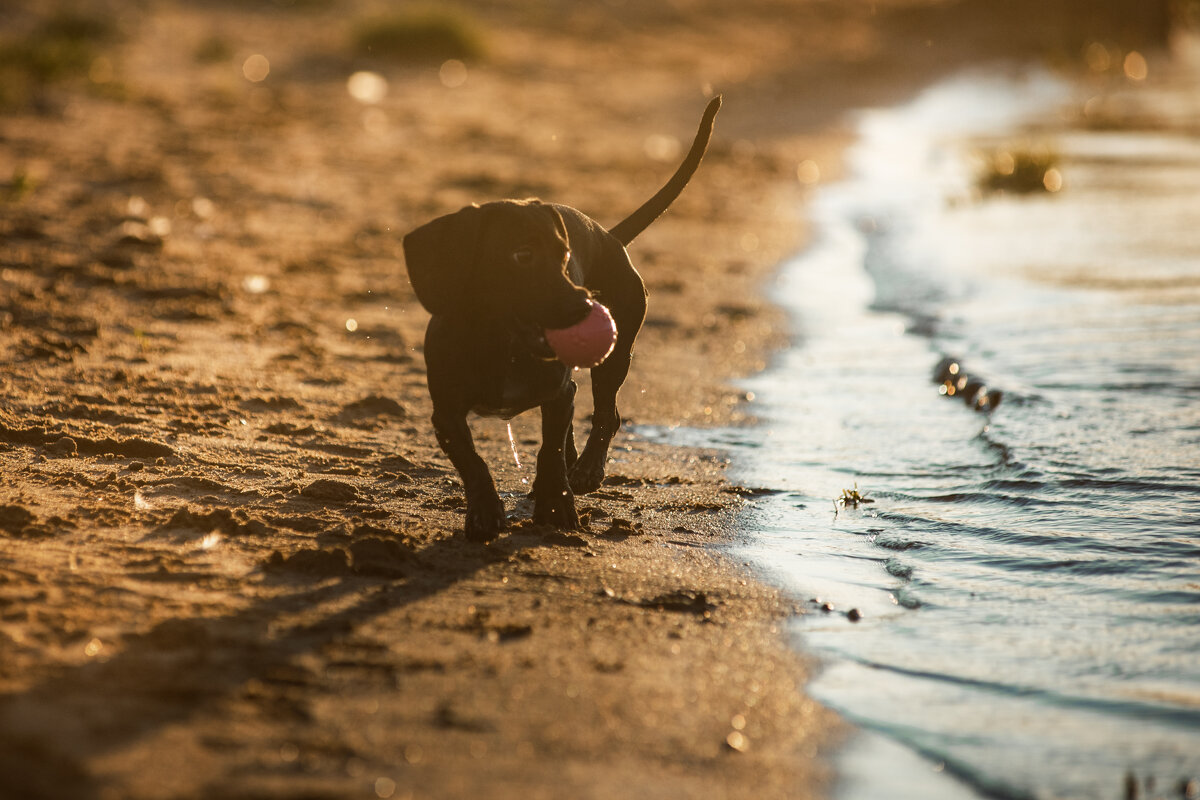 *** - Алексей le6681 Соколов