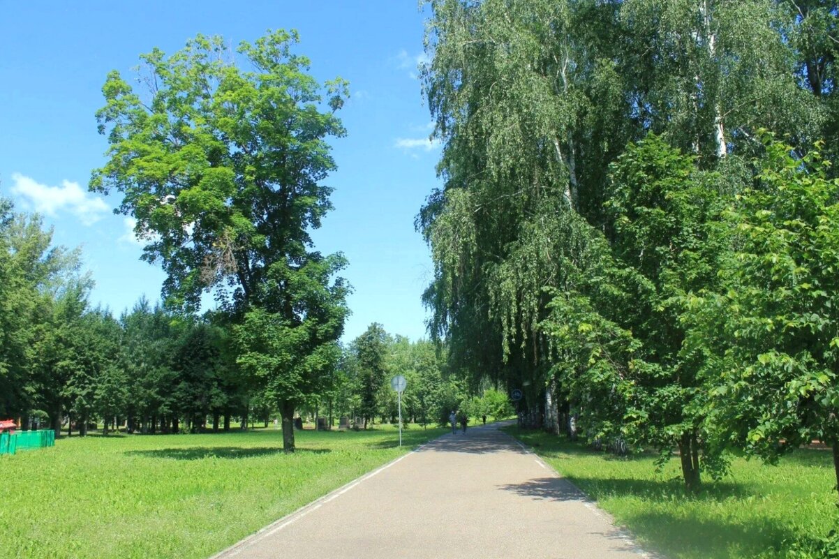 Летний день - Горкун Ольга Николаевна 