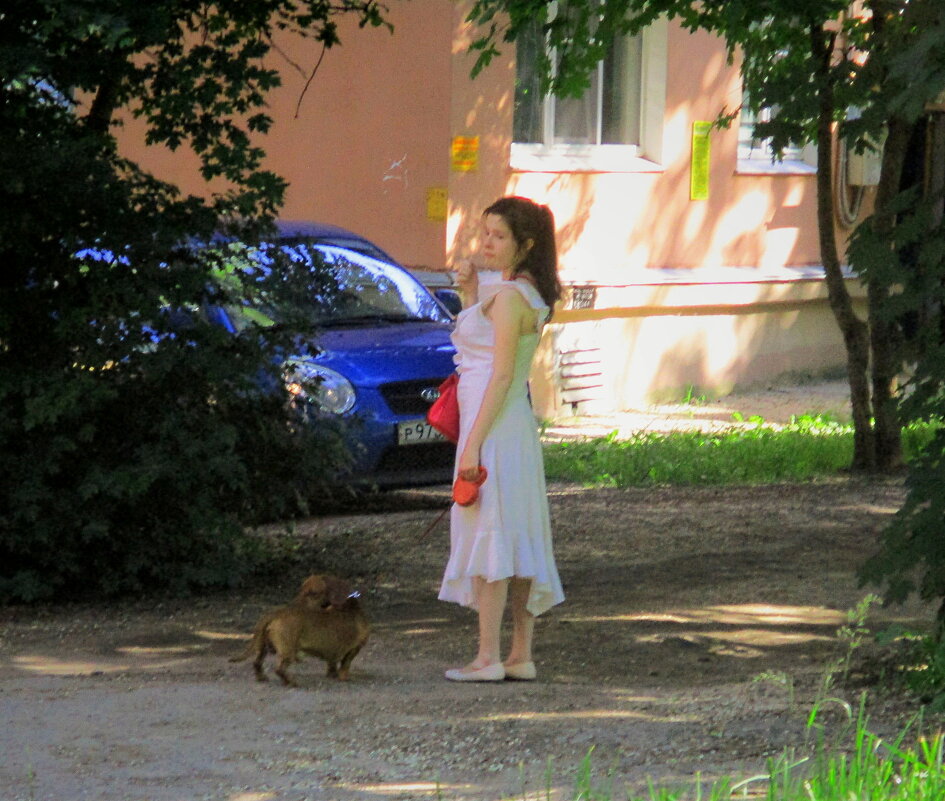 Дама с собачкой - Сергей Уткин