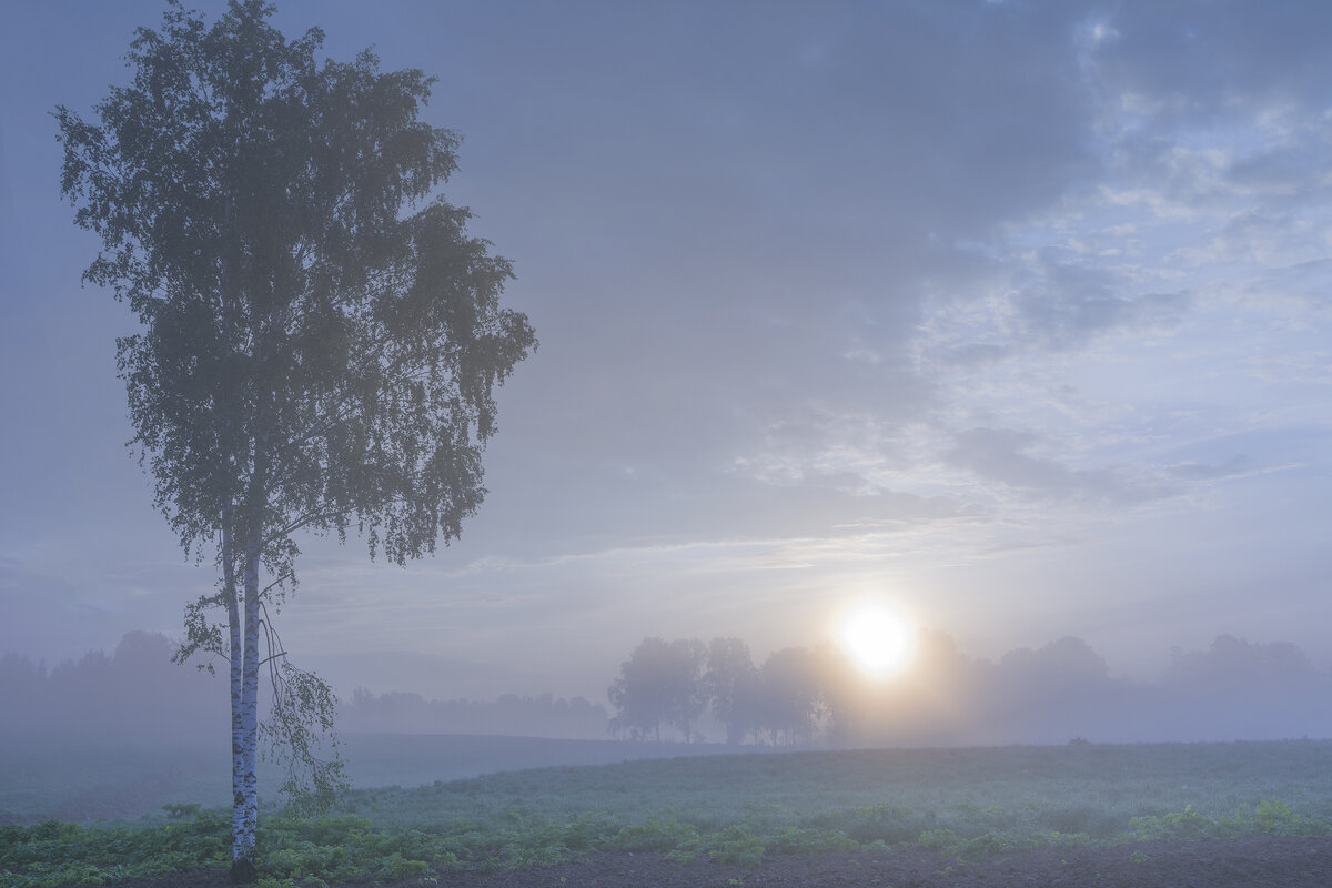 утро - Александр Волоцков