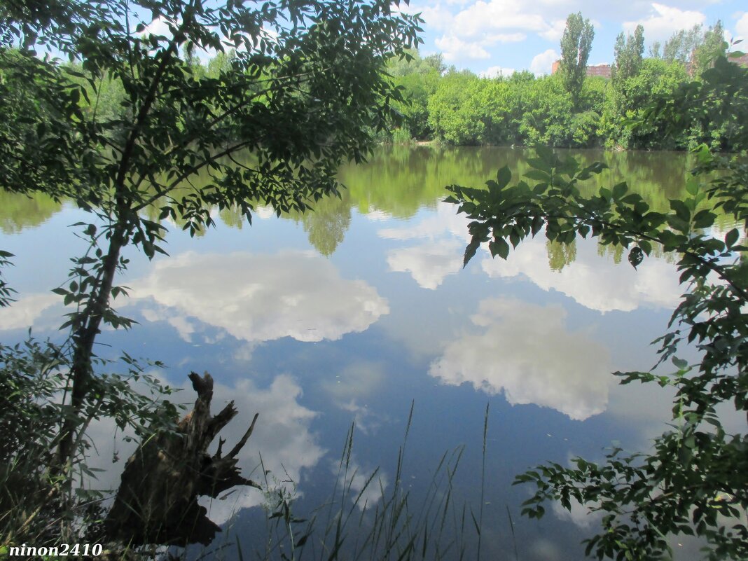 В ростовском зоопарке - Нина Бутко В ростовском зоопарке - Нина Бутко