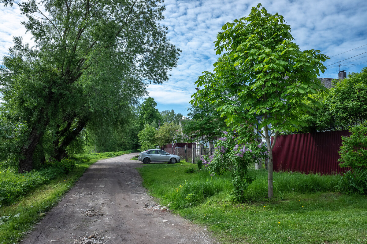 "Горбатая улица. Низенький дом. Кривые деревья стоят под окном..." - Михаил "Skipper"