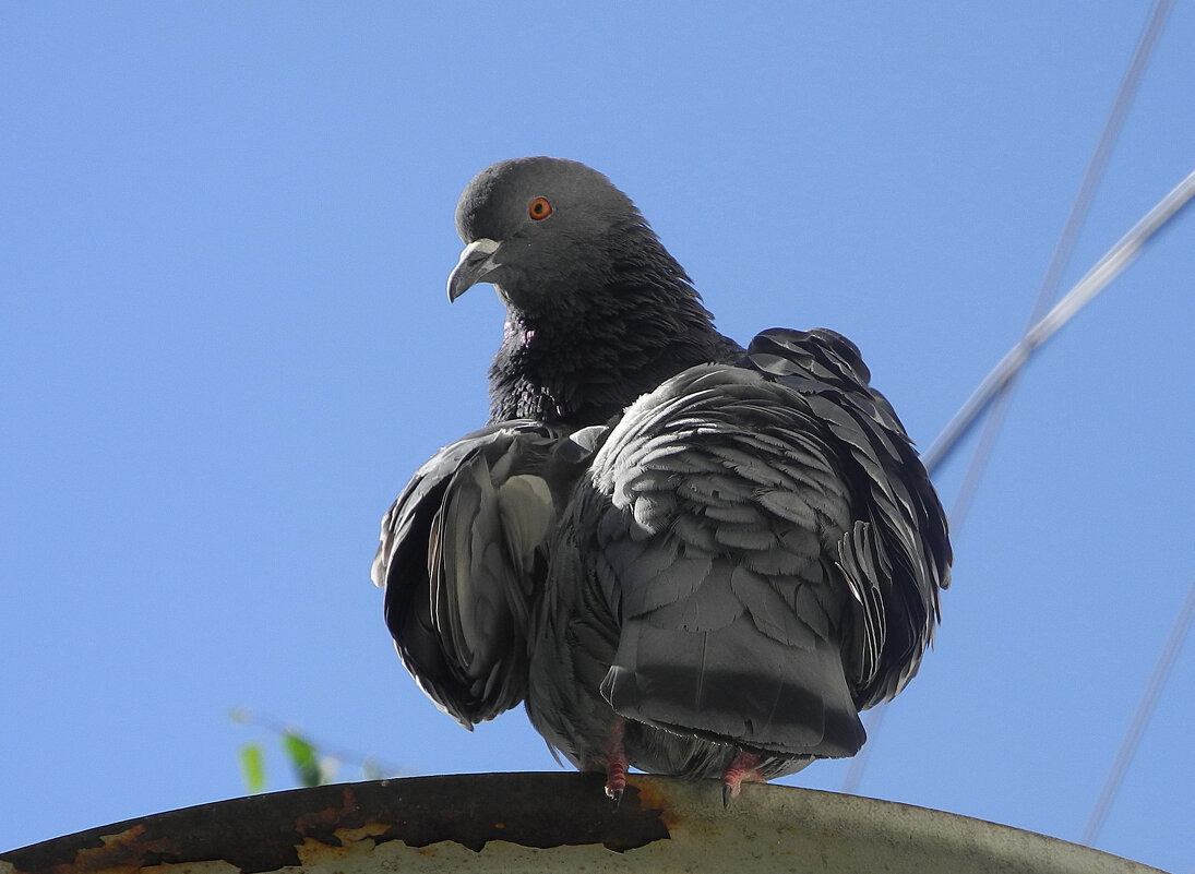 В чем дело? - Мария - Maria В чем дело? - Мария - Maria