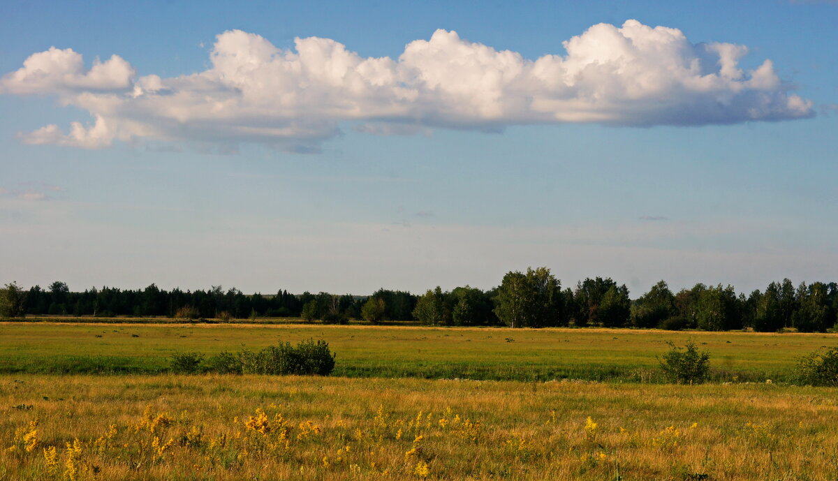 Вечернее. - сергей ермошкин Вечернее. - сергей ермошкин